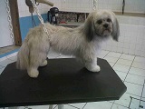 fedo