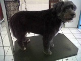 princelabrit